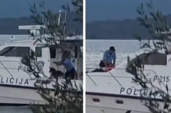 Snimka policajca koji baca psa u more užarila mreže: Ovo je službeno obja&scaron;njenje