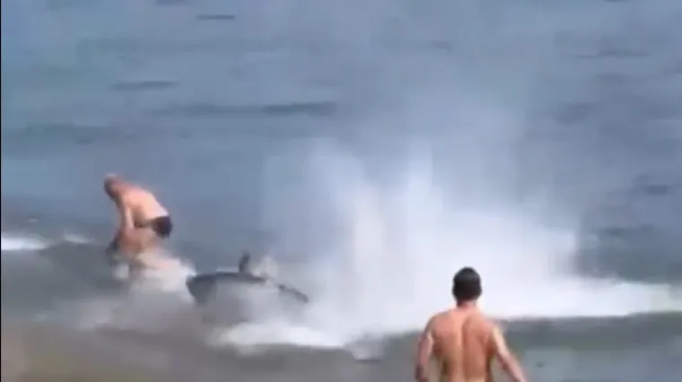 'Monstrum' od 295 kg krenuo na kupača: &Scaron;iri se nevjerojatna snimka s plaže