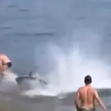 'Monstrum' od 295 kg krenuo na kupača: &Scaron;iri se nevjerojatna snimka s plaže