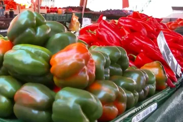 Počinje sezona zimnice: Evo koliko danas treba izdvojiti za paprike, krastavce i ajvar