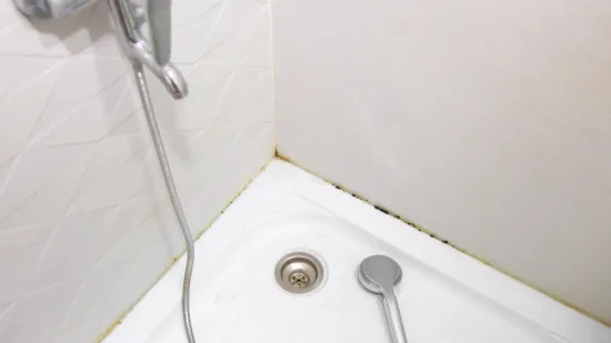 Uklonite plijesan iz tu&scaron;a i spriječite njezino ponovno pojavljivanje uz ove metode