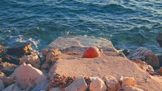 Nevjerojatni prizori iz Bibinja: 'Zagradili su dio plaže, zbog smrada je sve puno opasnih kukaca'