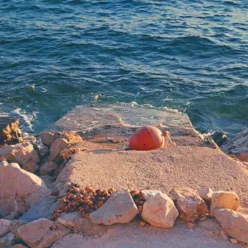 Nevjerojatni prizori iz Bibinja: 'Zagradili su dio plaže, zbog smrada je sve puno opasnih kukaca'