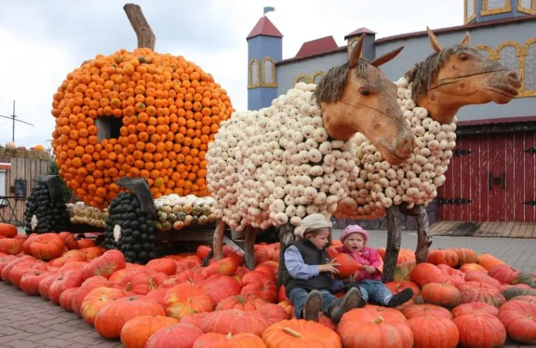 PXL bundeve fairy tale festival Kočija Pepeljuge