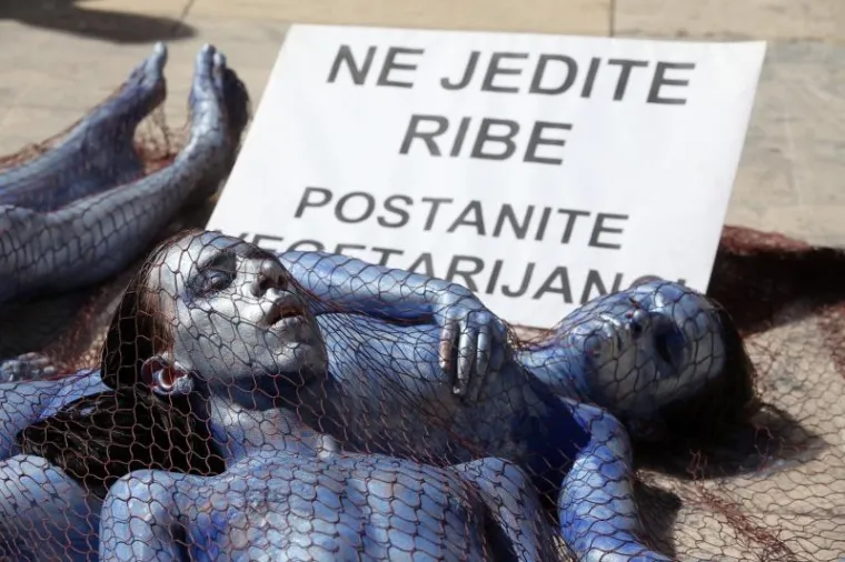 PXL - Prosvjed u Zadru PXL Prosvjed Zadru