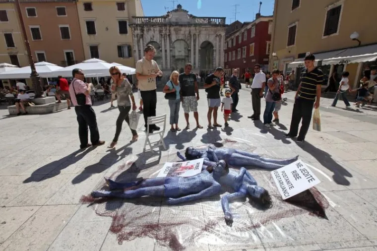 PXL - Prosvjed u Zadru PXL Prosvjed Zadru