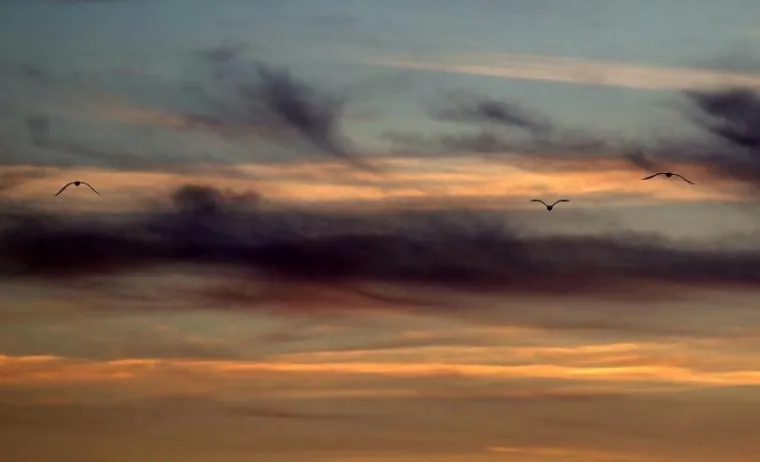 Zadar, Zalazak sunca Zadar, Zalazak sunca