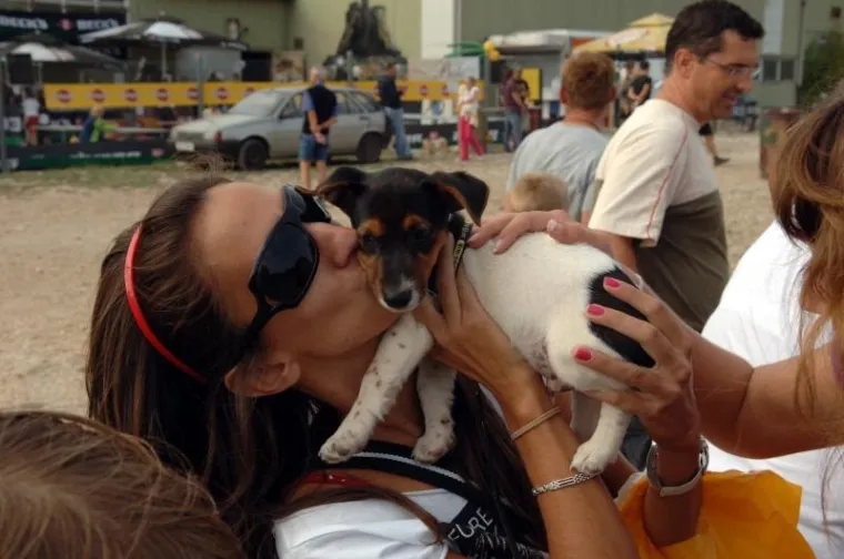 PXL revija pasa, pas PXL revija pasa, pas