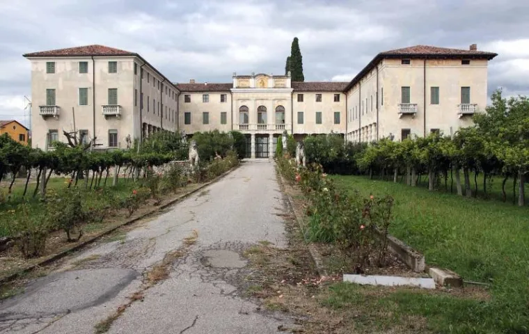 Brangelina Brangelina