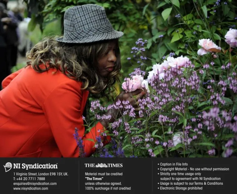 Clarence House Clarence House