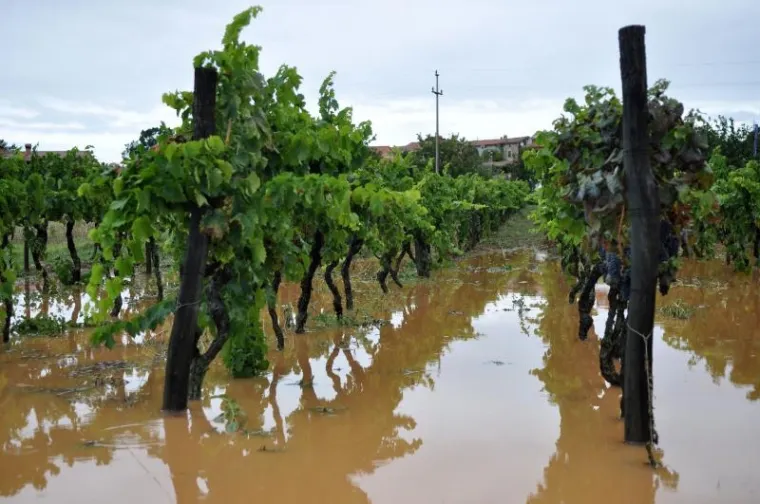 PXL umag novigrad poplava  PXL umag novigrad poplava