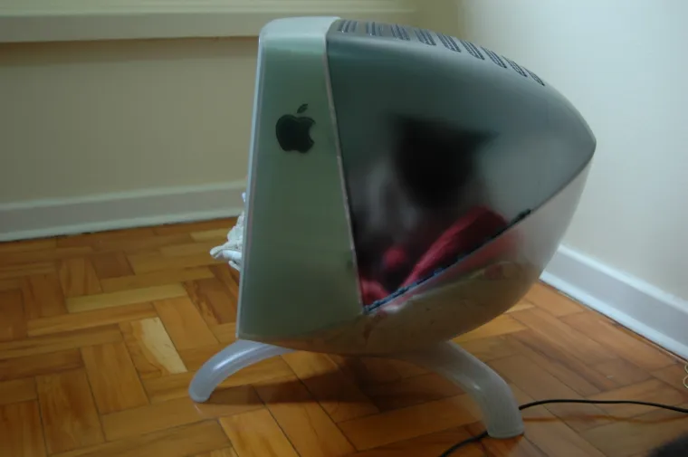 pas mačka monitor Kujica Zelda dijeli monitor mačkama