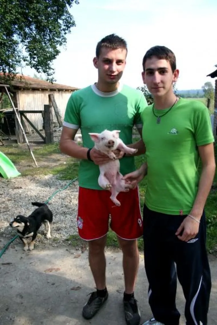 PXL prase Praščić šest nogu