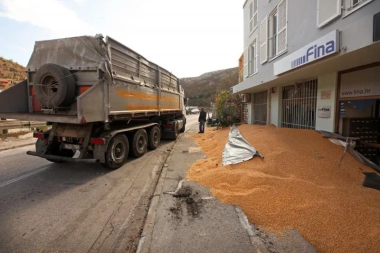 PXL kukuruz obrovac PXL kukuruz obrovac