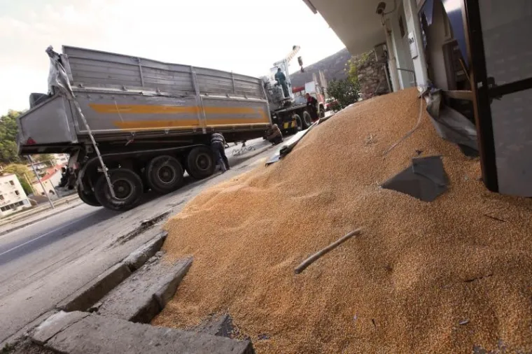 PXL kukuruz obrovac PXL kukuruz obrovac