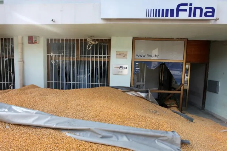 PXL kukuruz obrovac PXL kukuruz obrovac