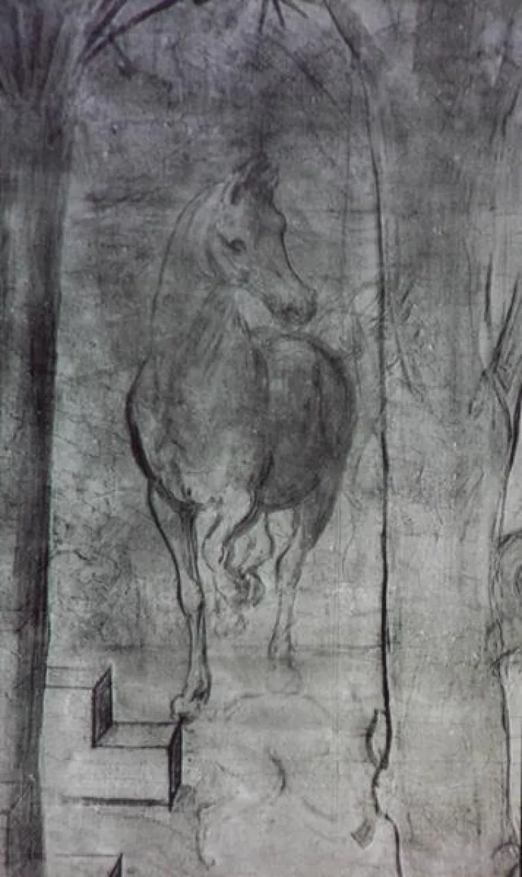 PXL leonardo da vinci crteži PXL leonardo vinci crteži