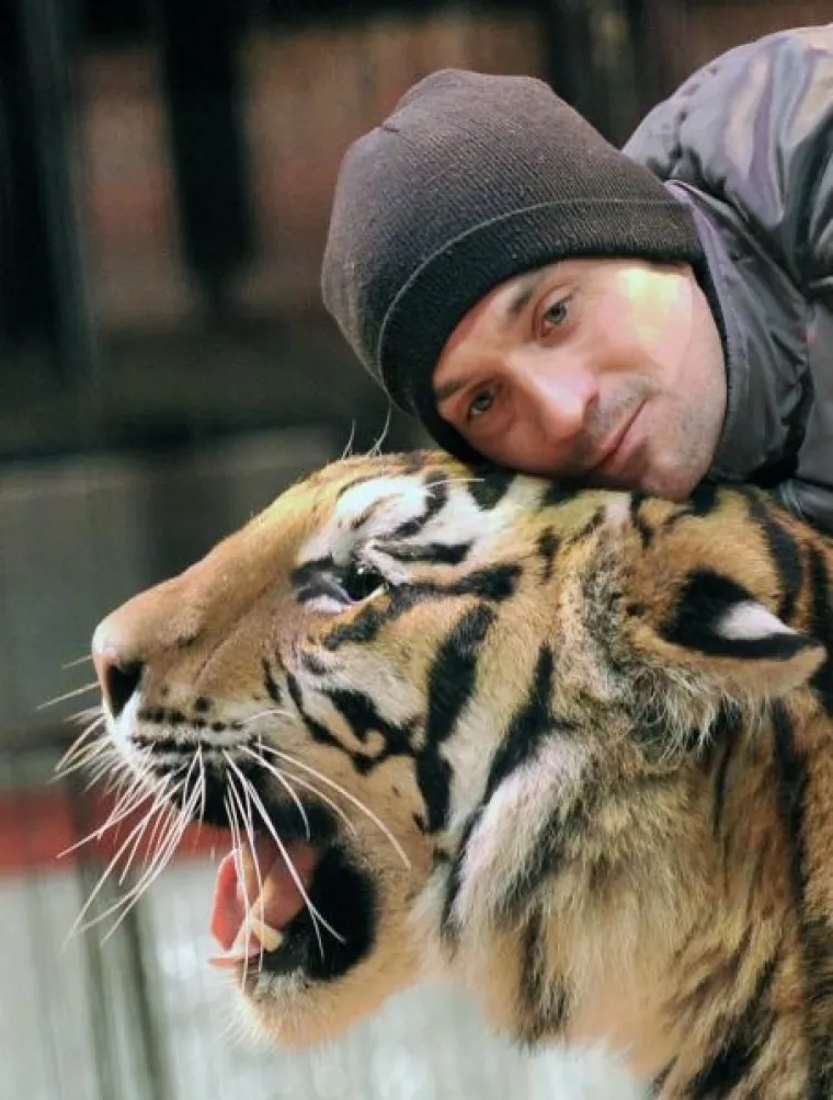 PXL - tigar PXL tigar