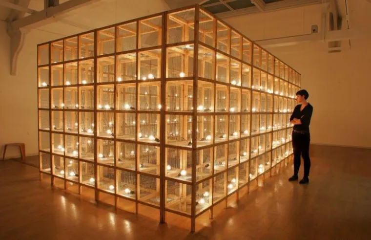 PXL svijetleća instalacija PXL svijetleća instalacija