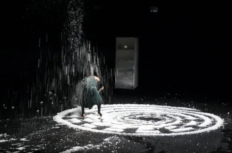 Festival Novog cirkusa Festival Novog cirkusa