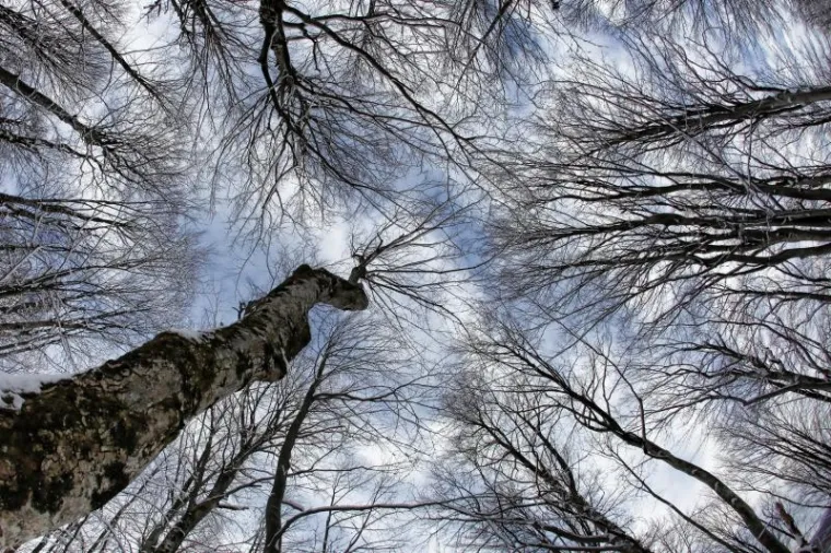 PXL plitvička jezera snijeg PXL plitvička jezera snijeg