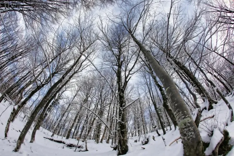 PXL plitvička jezera snijeg PXL plitvička jezera snijeg