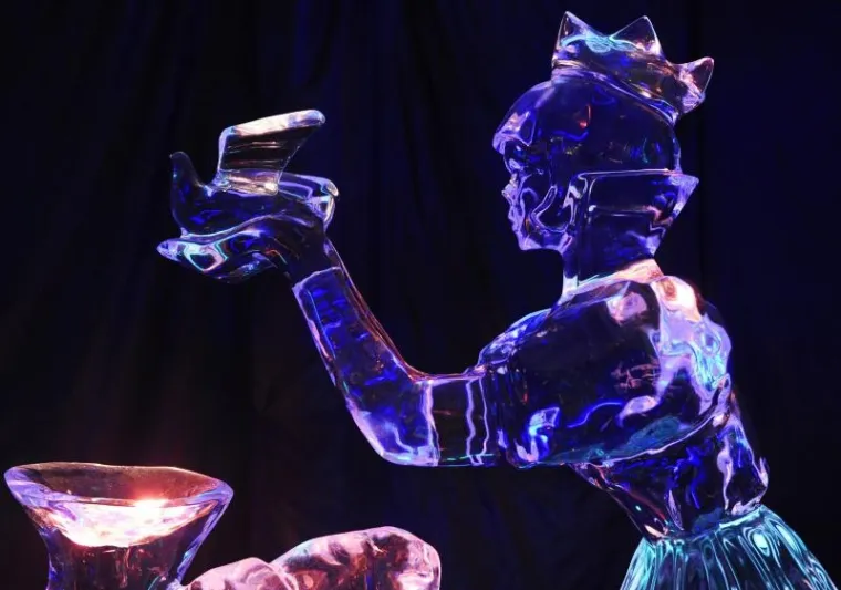 PXL - festival leda PXL festival leda