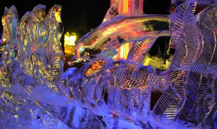 PXL - festival leda PXL festival leda