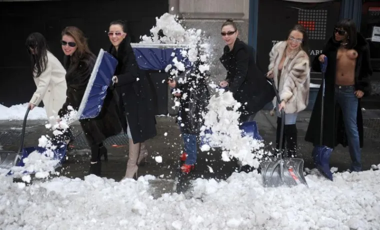 toples, new york toples