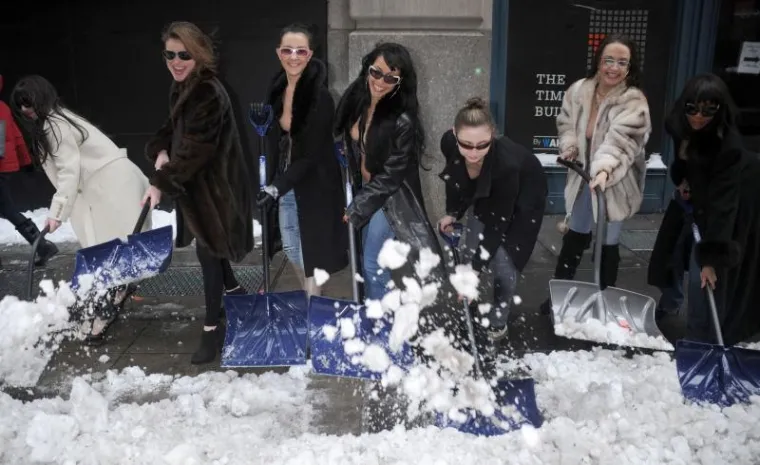 toples, new york toples