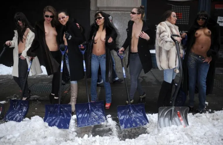 toples, new york toples