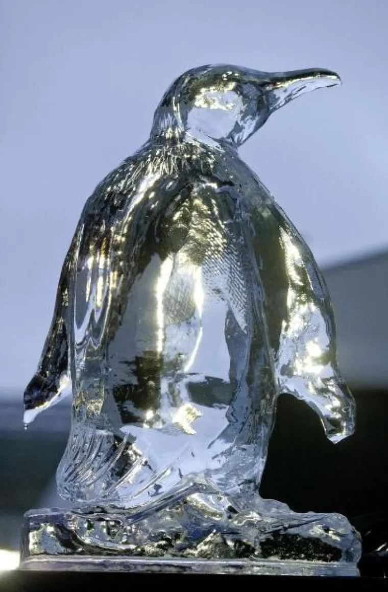 Ledena skulptura Ledena skulptura