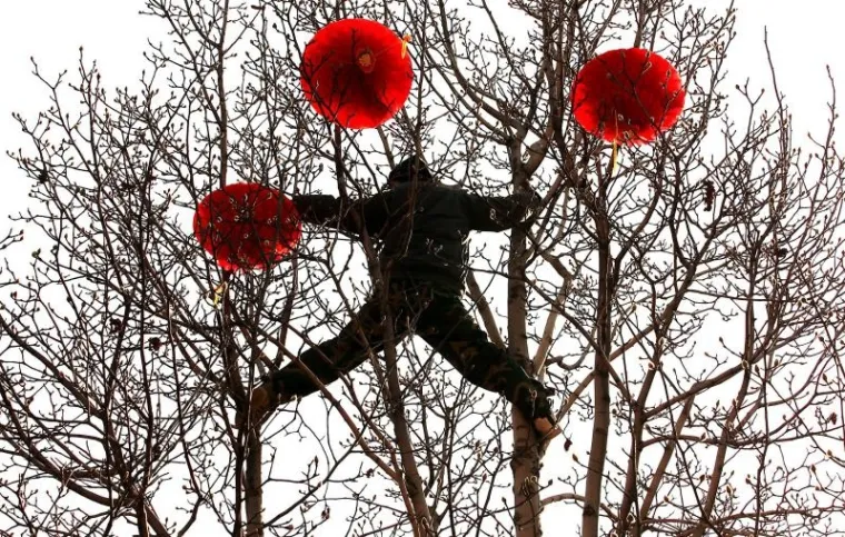 peking, godina zeca peking, godina zeca