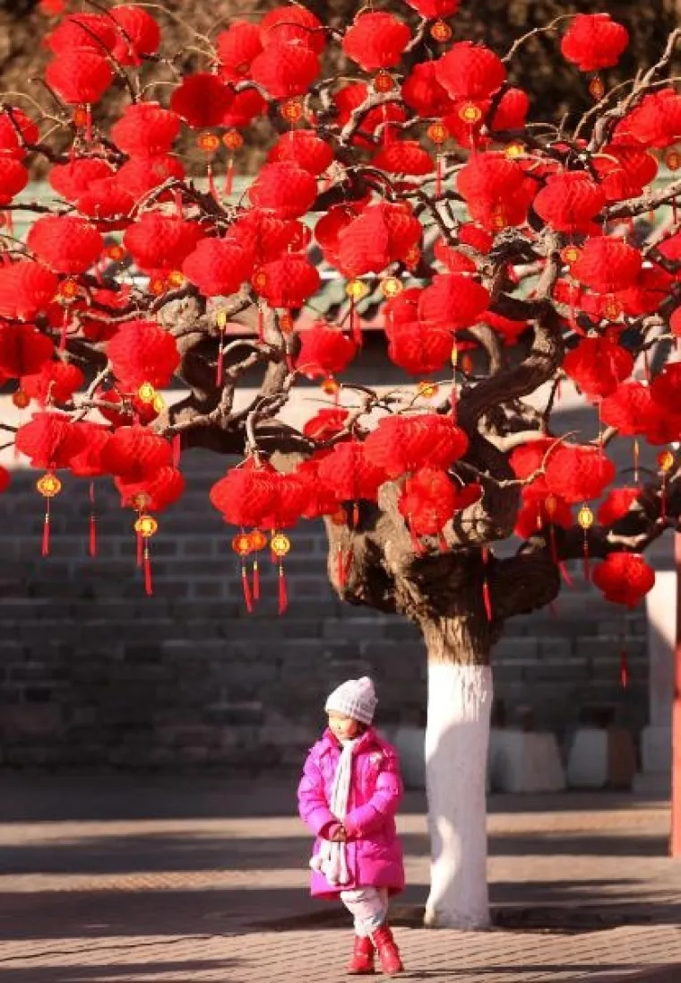 peking, godina zeca peking, godina zeca