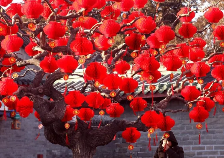 peking, godina zeca peking, godina zeca