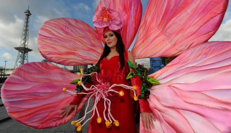 voće, haljine voće, haljine