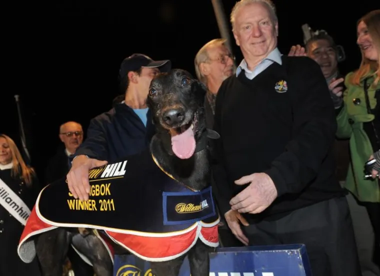 London, Utrke pasa London, Utrke pasa