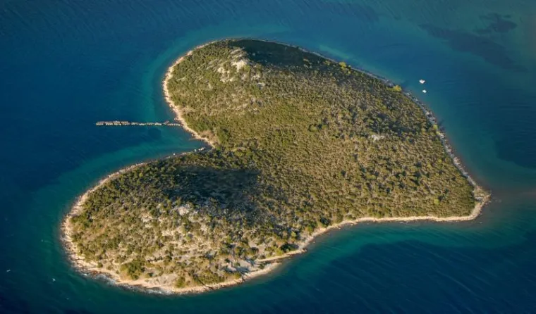 Valentinovo Valentinovo