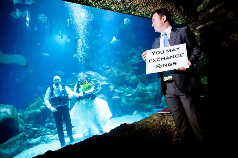 PXL akvarij vjenčanje PXL akvarij vjenčanje