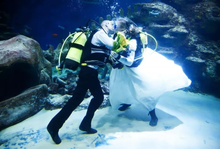 PXL akvarij vjenčanje PXL akvarij vjenčanje