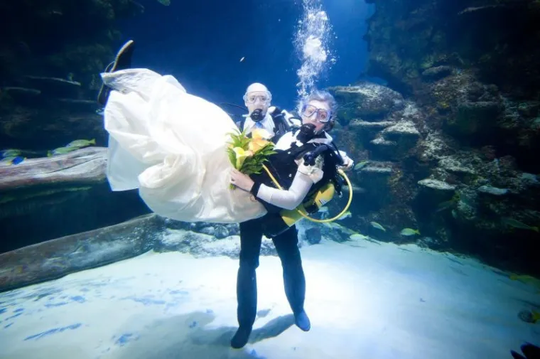 PXL akvarij vjenčanje PXL akvarij vjenčanje