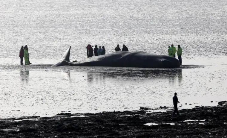 kit, nasukavanje kit, nasukavanje