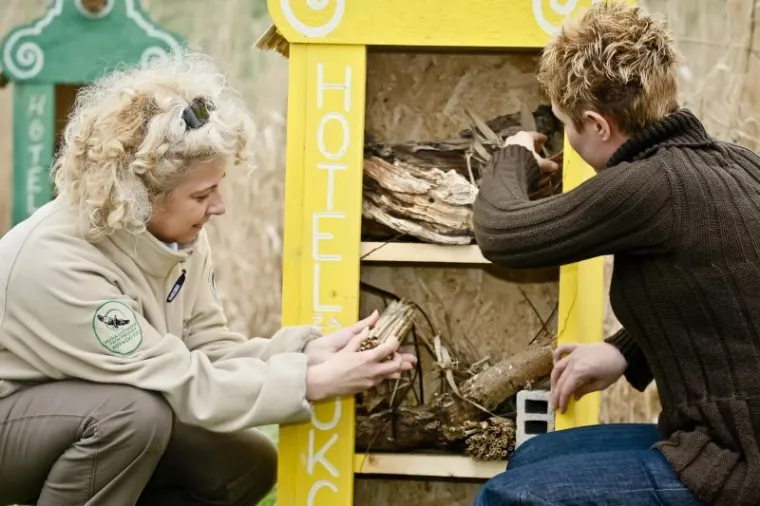 Hotel za kukce Hotel kukce