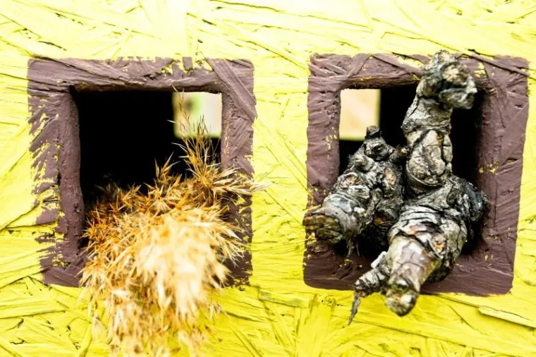 Hotel za kukce Hotel kukce