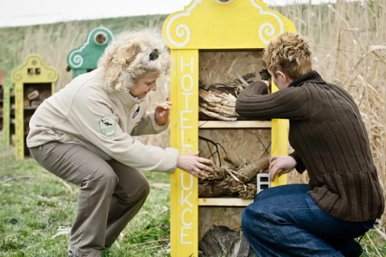 Hotel za kukce Hotel kukce