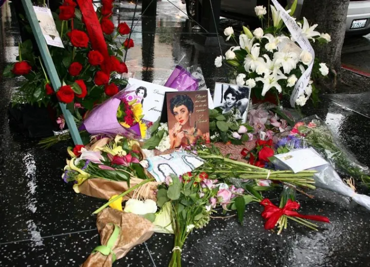 Liz Taylor Liz Taylor