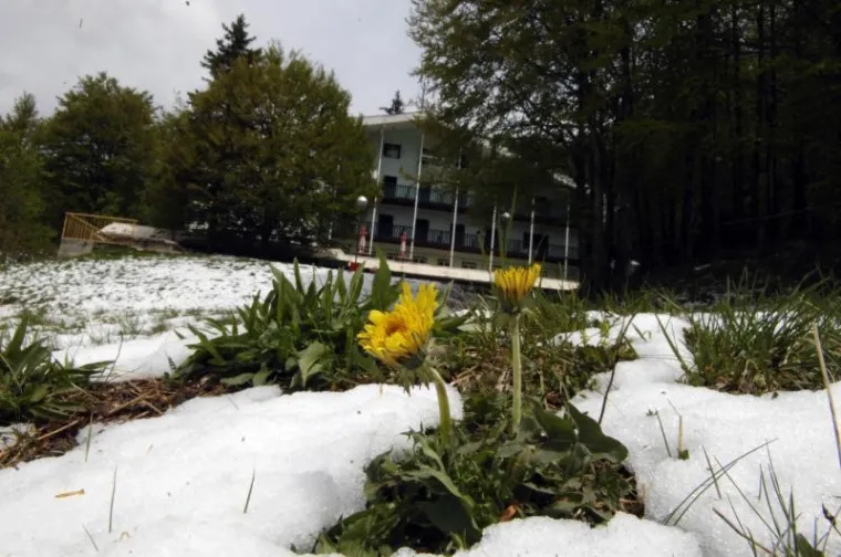 Platak, snijeg, ljeto Platak