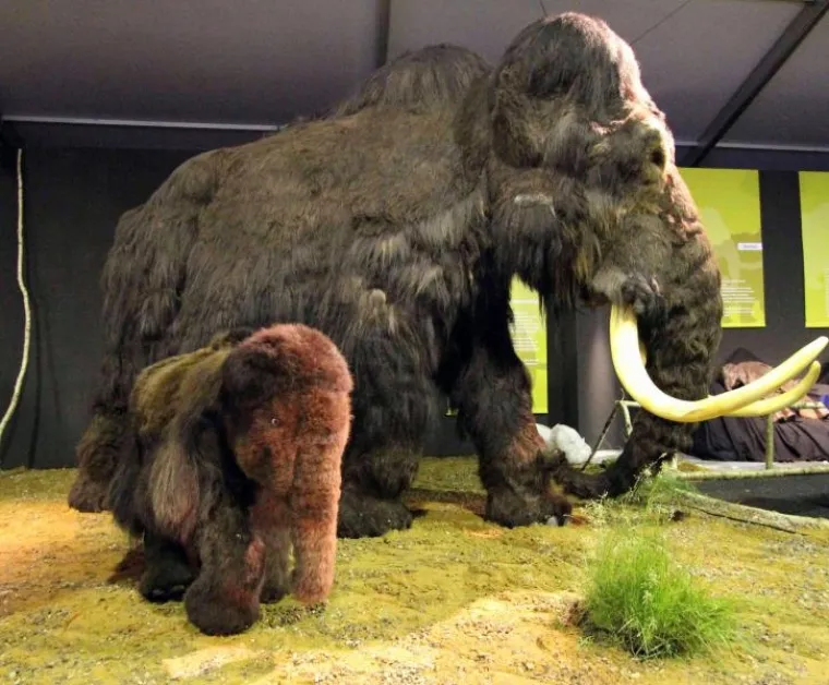 ledeno doba ledeno doba