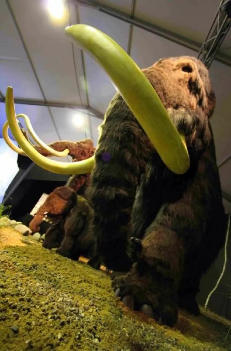 ledeno doba ledeno doba