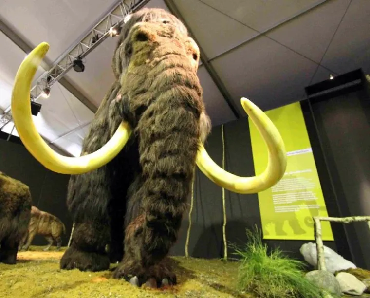 ledeno doba ledeno doba